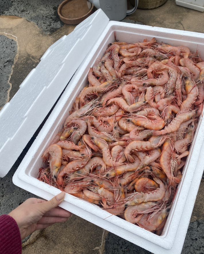 두리수산 이미지