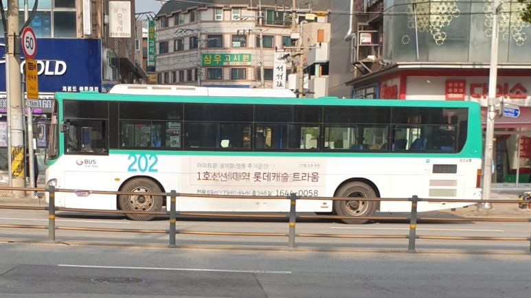 대흥여행사 이미지