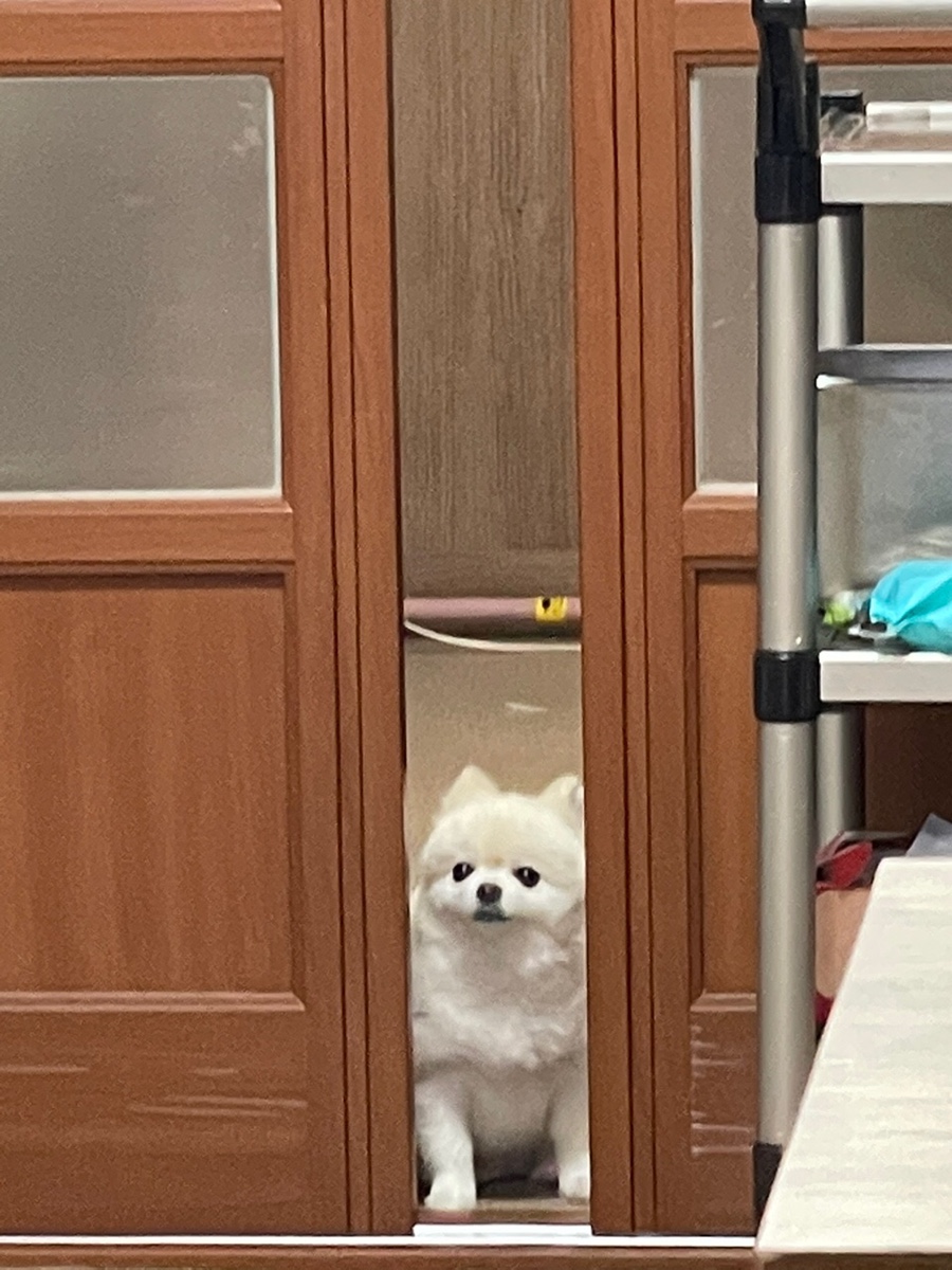 계화당 이미지