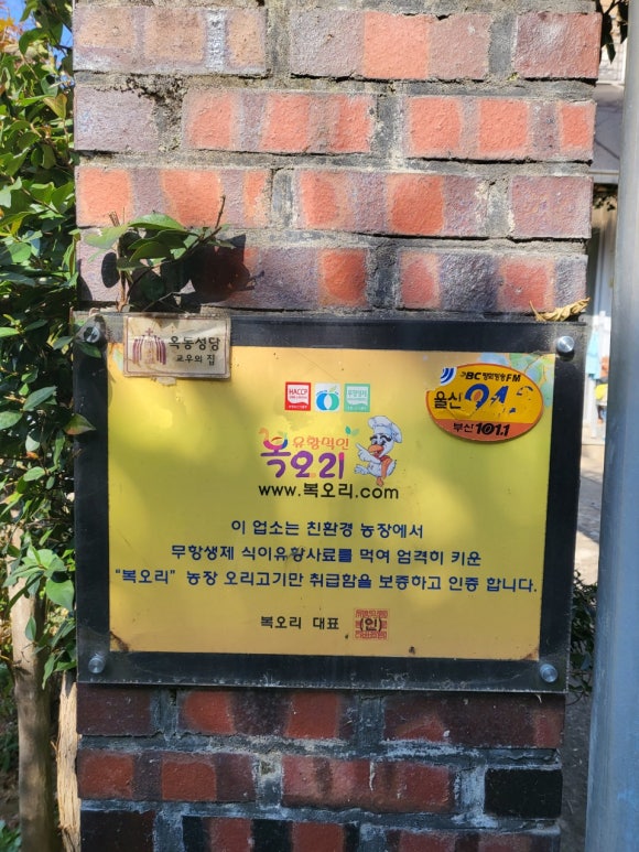 벗나무집 이미지