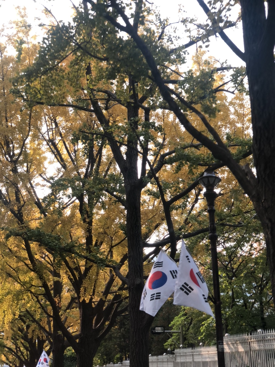 엠와이씨 이미지