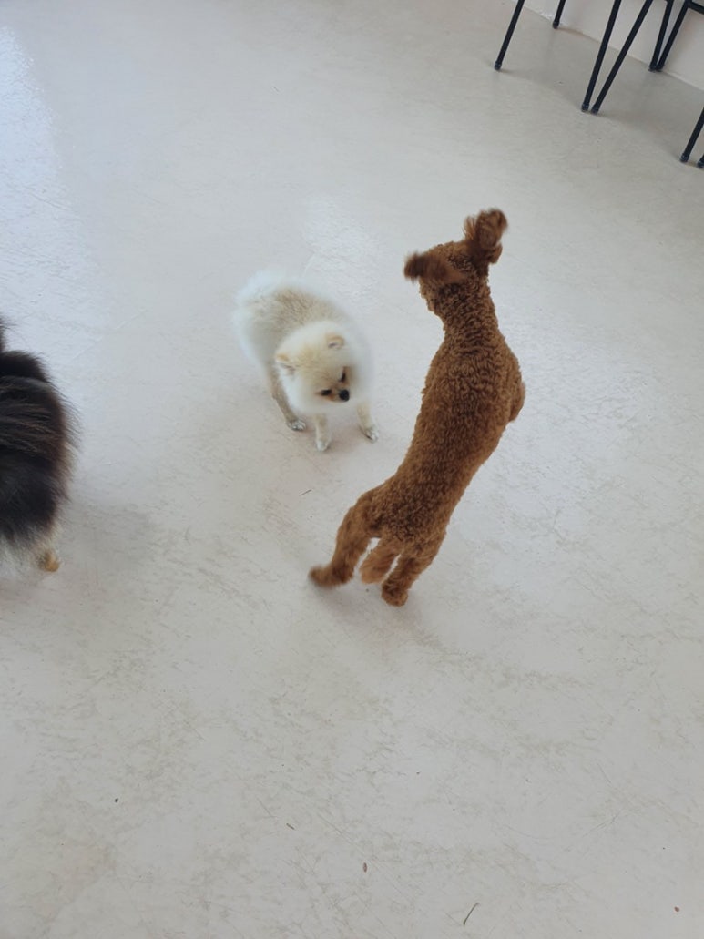 완도유치원 이미지