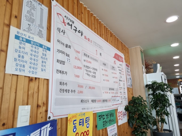 이기대어구야 이미지