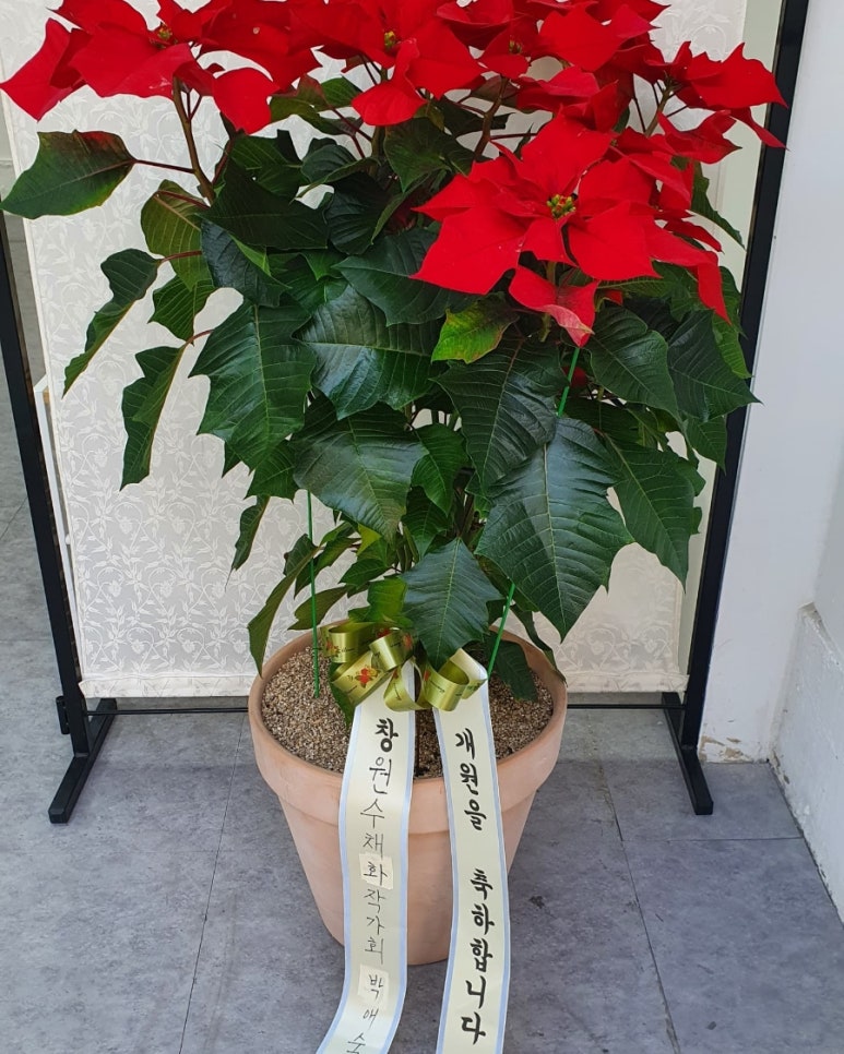 수아의뜰 이미지
