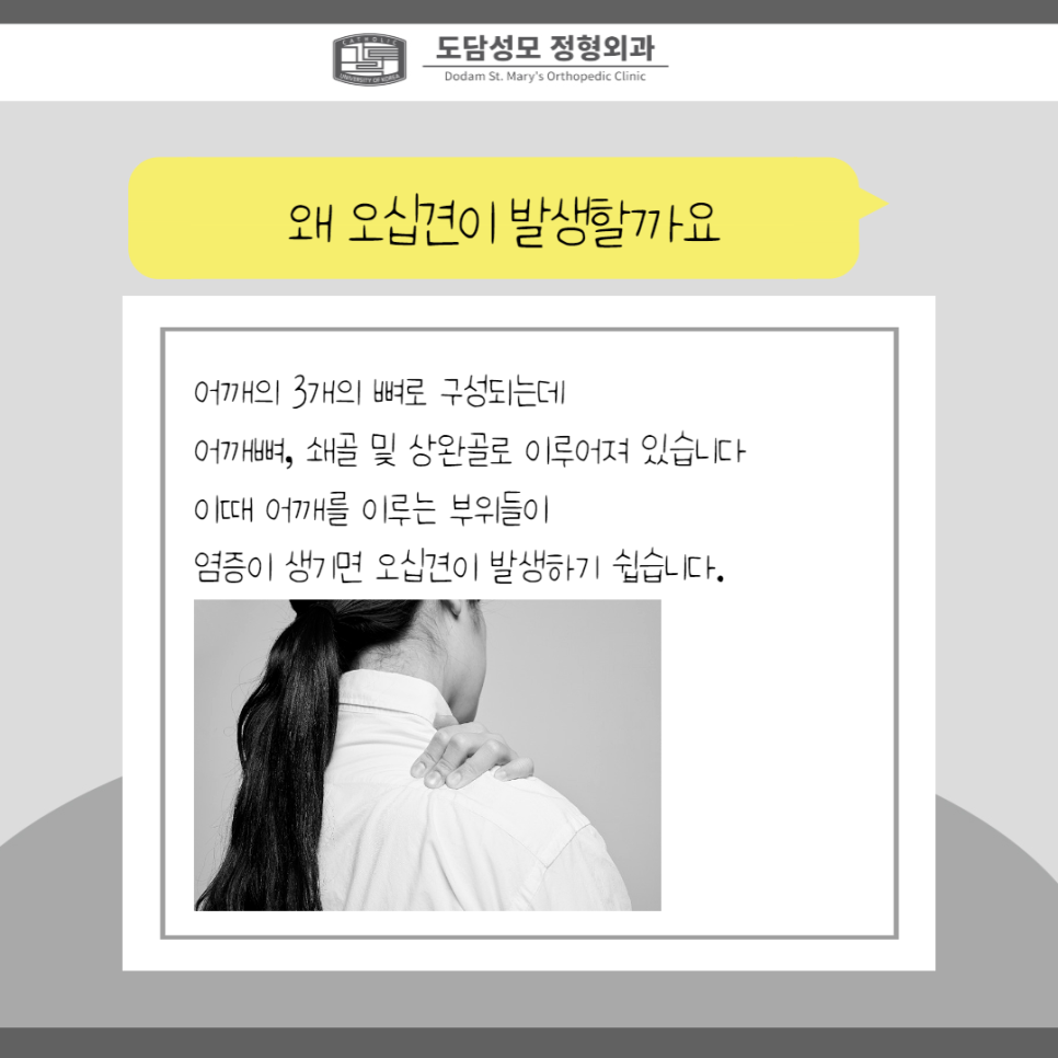 도담성모정형외과 이미지