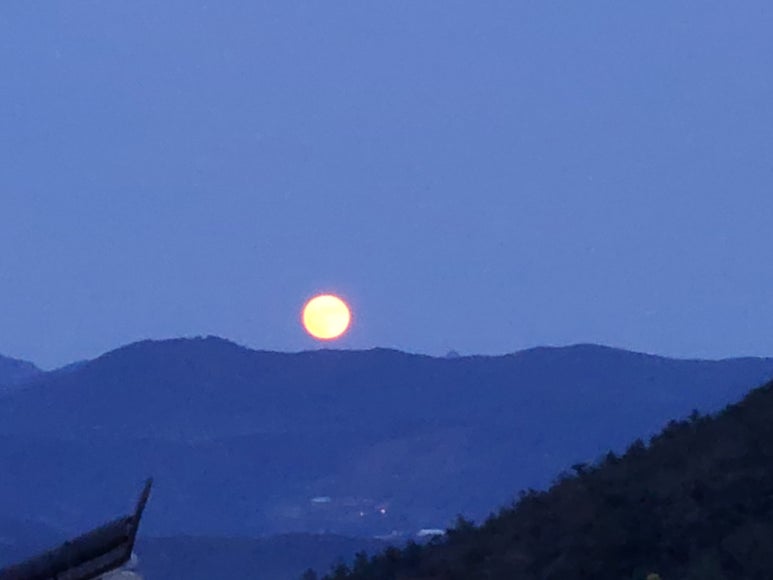 지리산약초관광농원 이미지