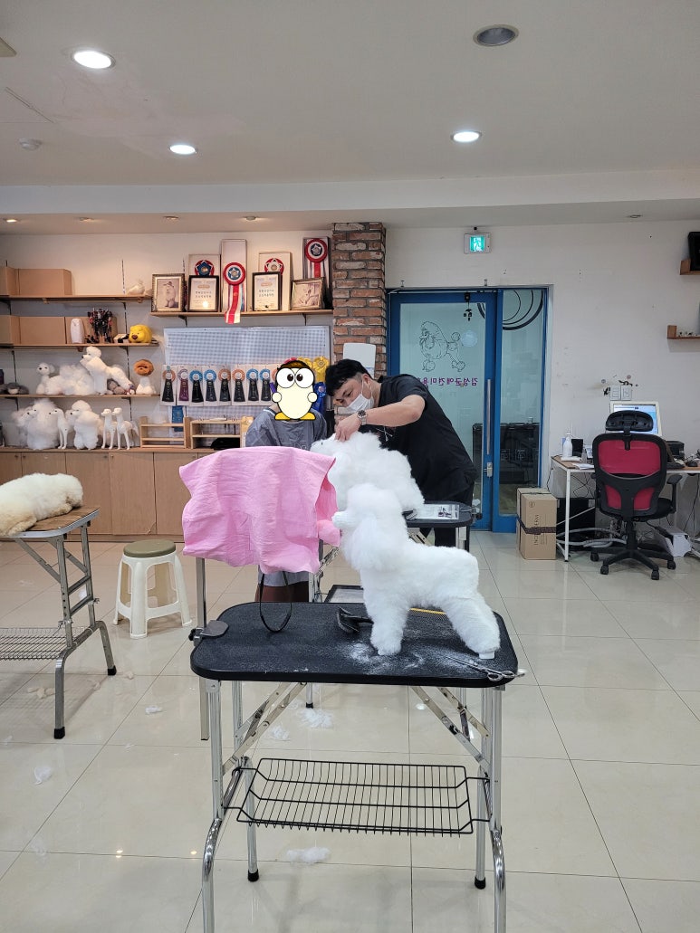 김성균애견미용학원 이미지