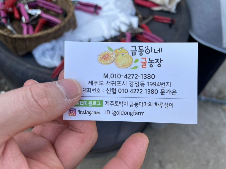 금동농장 이미지