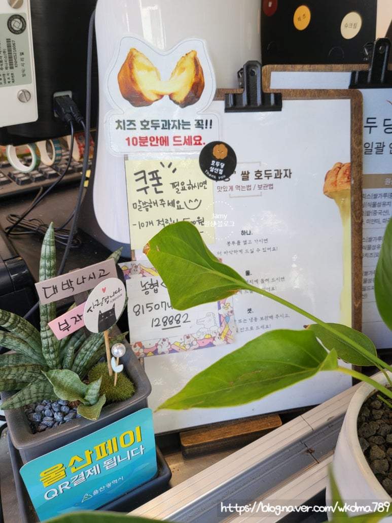 호두당울산 이미지