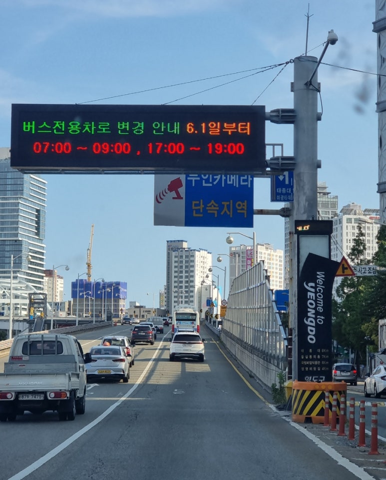 해동대구뽈찜 이미지