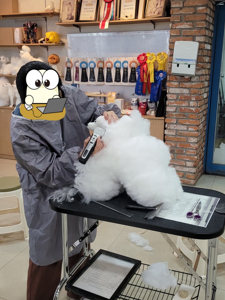 김성균애견미용학원 이미지
