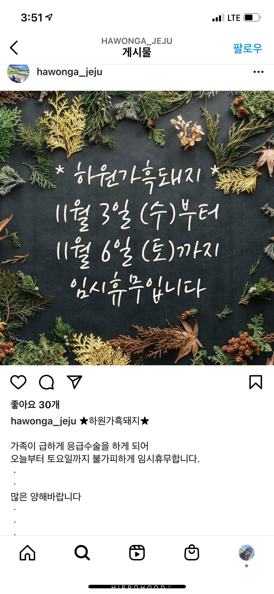 양가형제 이미지