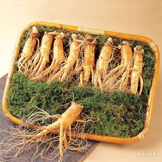 하수오홍삼 이미지