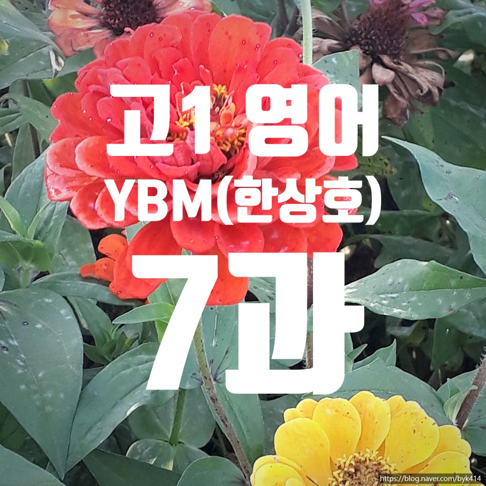 서일인쇄 이미지