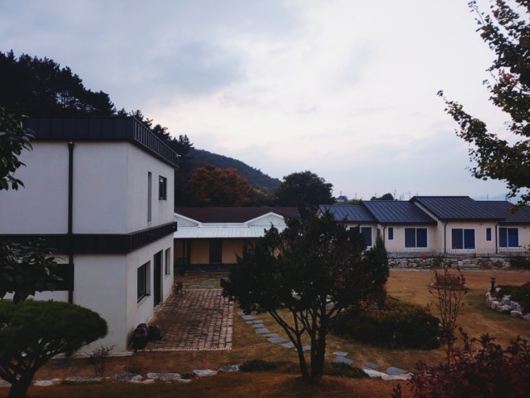 마호네일 이미지