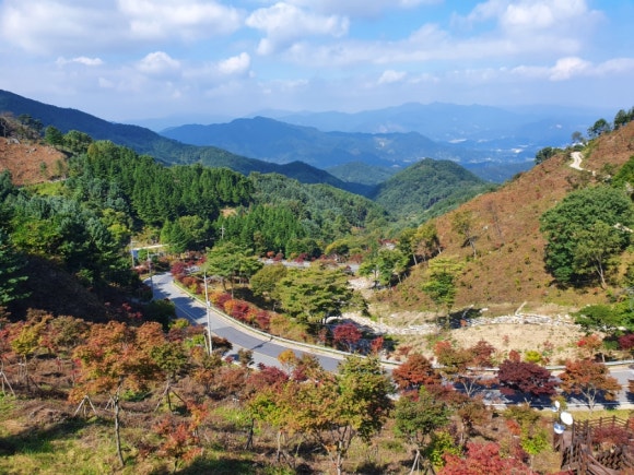 월산식육식당 이미지