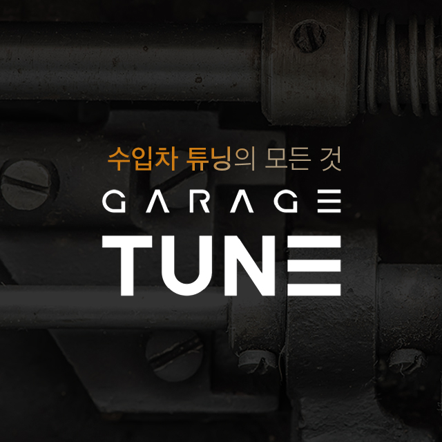 튠게러지 이미지