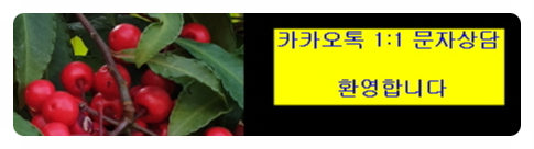 바인치과의원 이미지