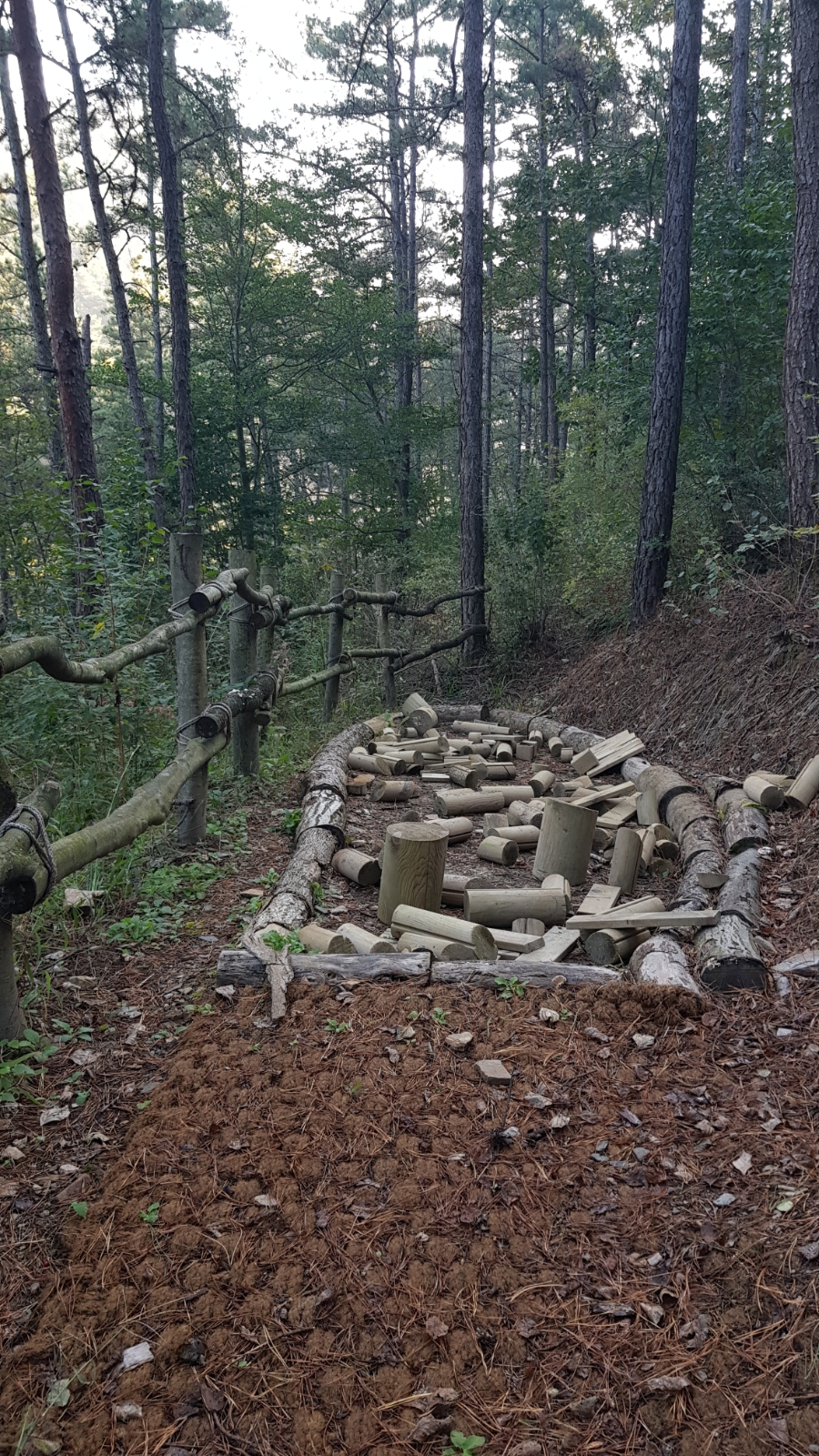 야호학산유아숲체험원 이미지