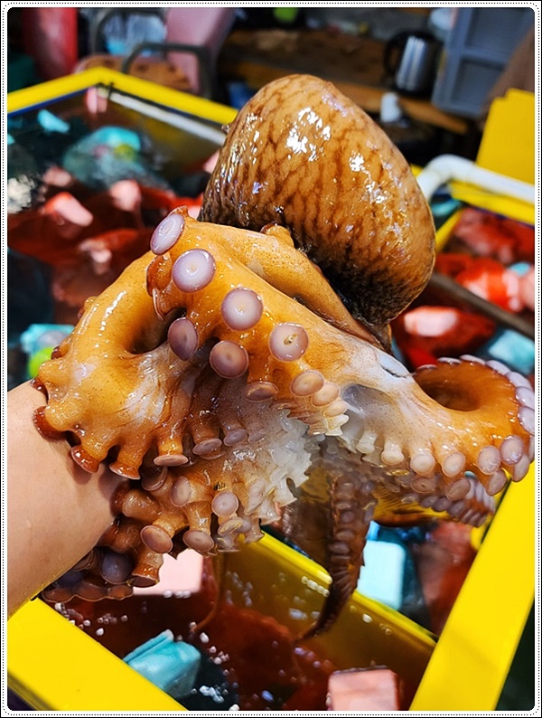 유성상회 이미지