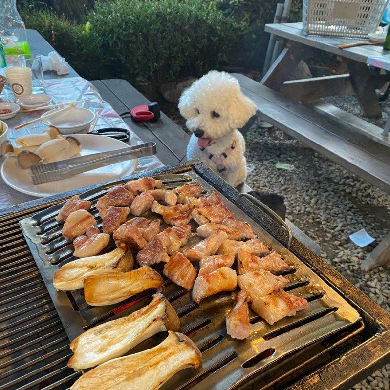 금남식당 이미지