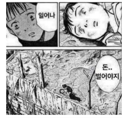 나떼 이미지