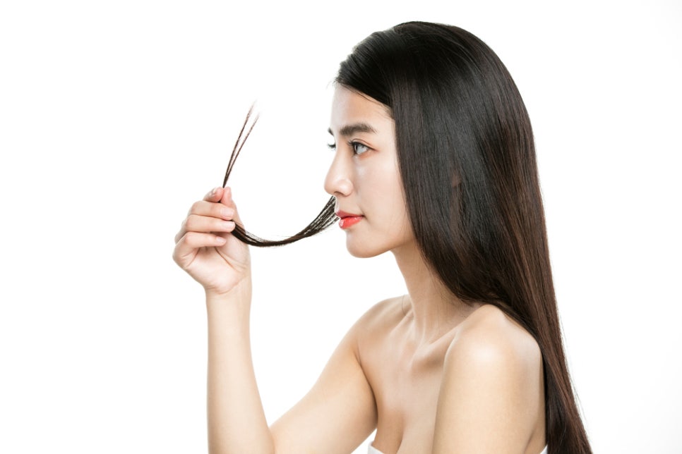 헤어씨 이미지