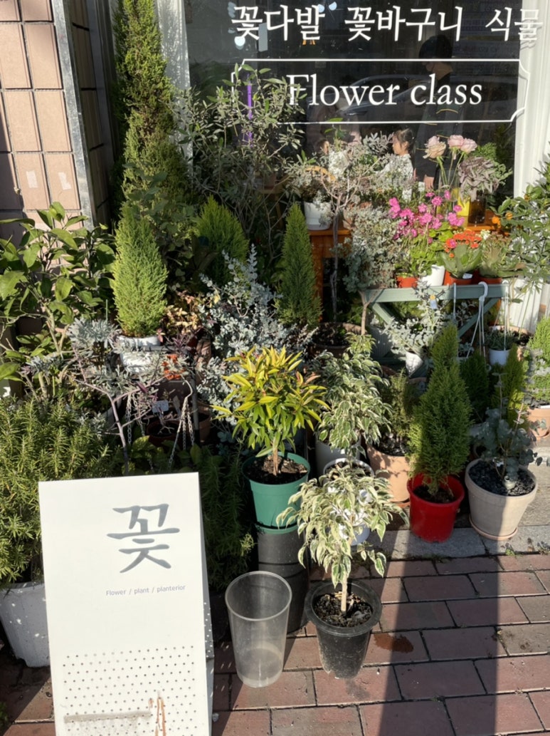 열두달꽃이랑 이미지