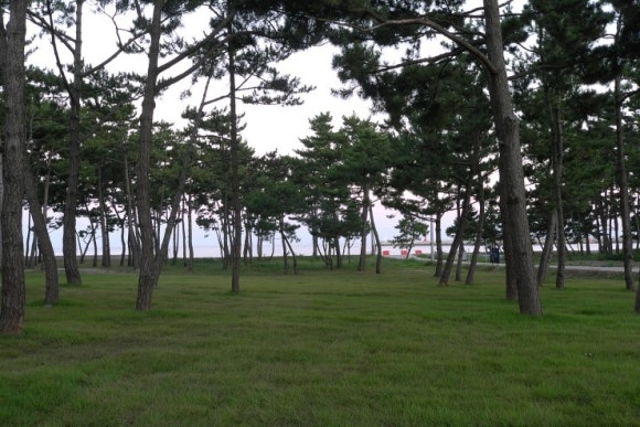구시포 노을 캠핑장 이미지