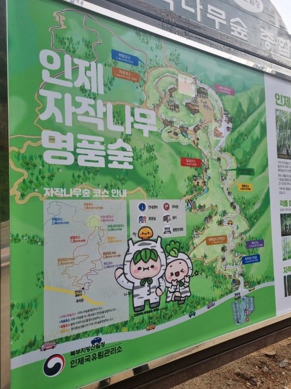 석정양만 이미지
