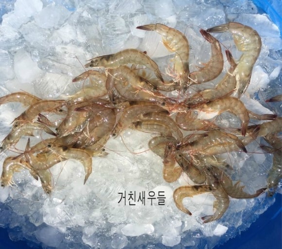 신안왕새우직판 이미지