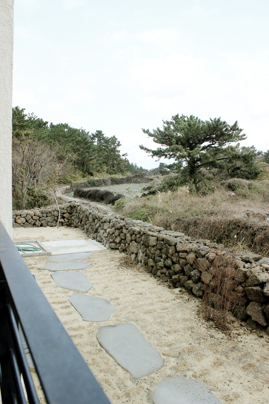 달숲하우스 이미지