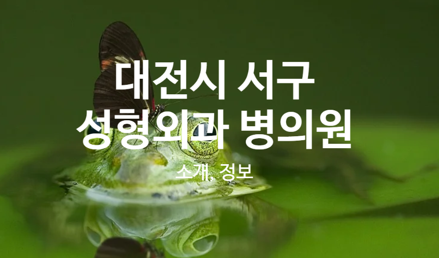 학교법인건양교육재단 이미지
