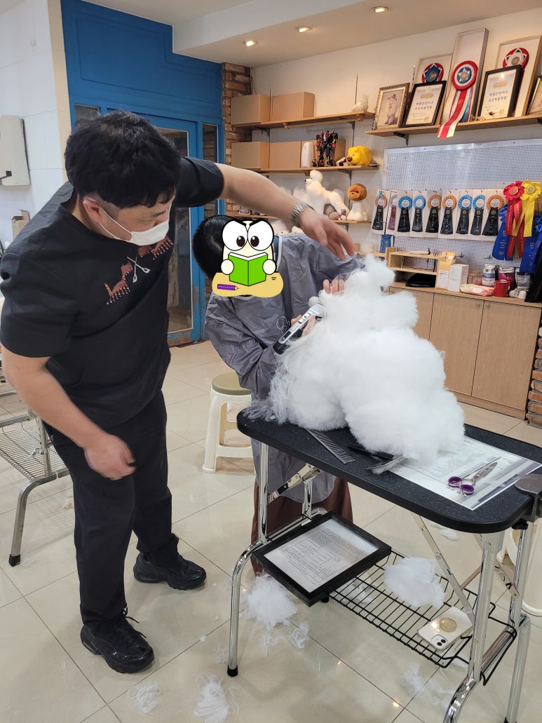 김성균애견미용학원 이미지