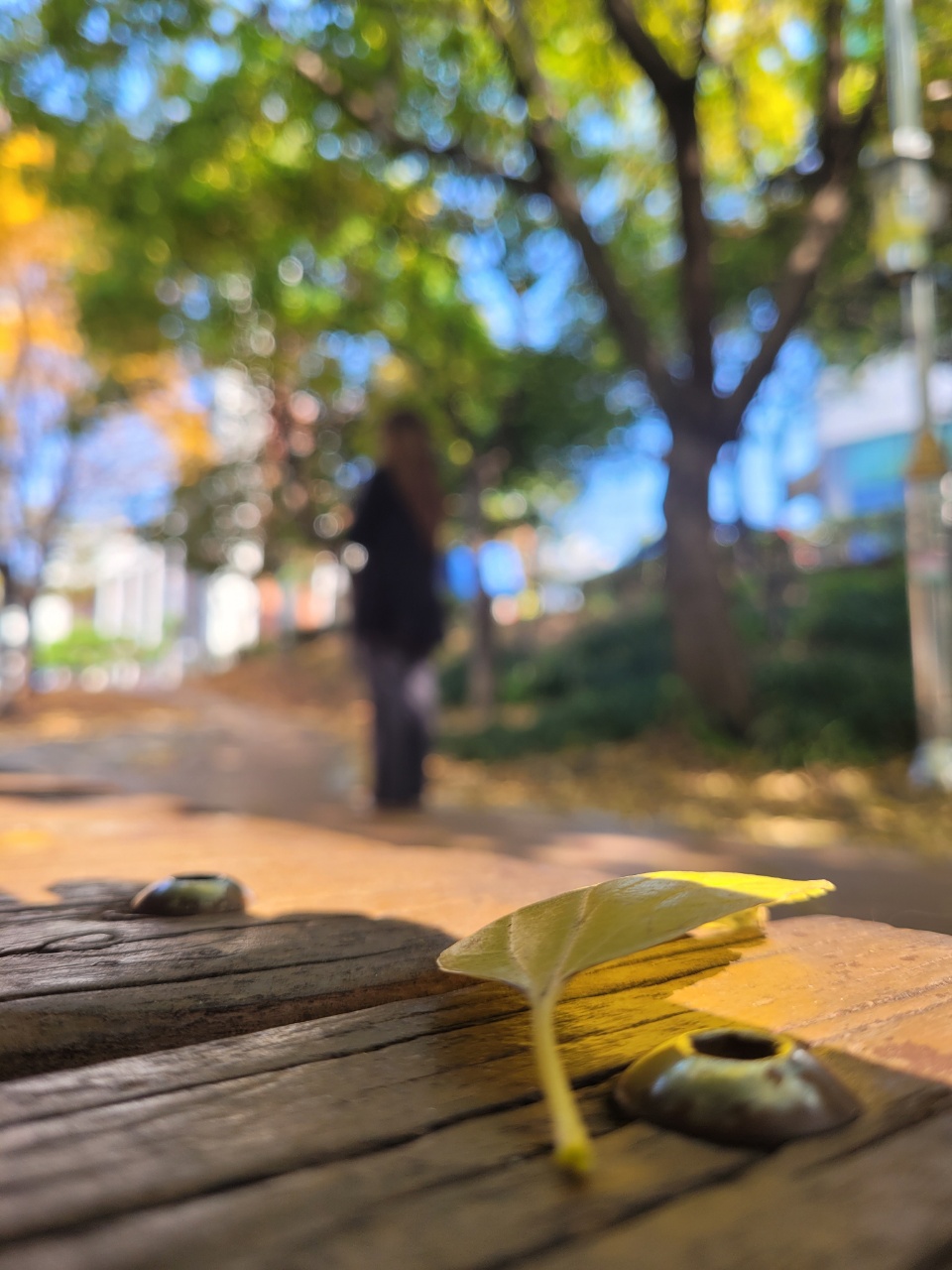 동해분식 이미지