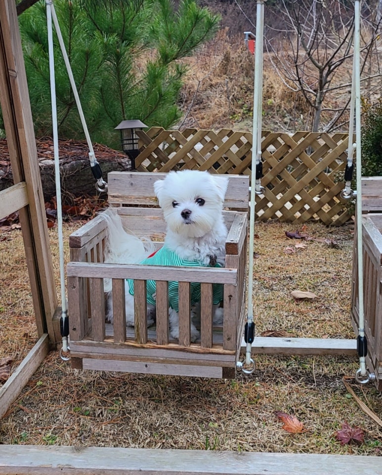 메종카누네 이미지