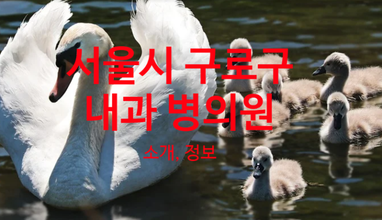 연세푸른정형외과의원 이미지