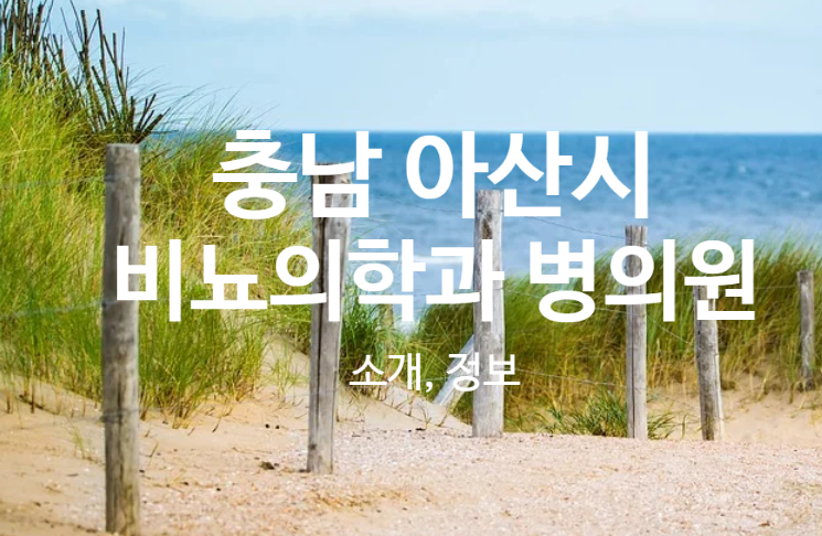 서울아산연합내과의원 이미지