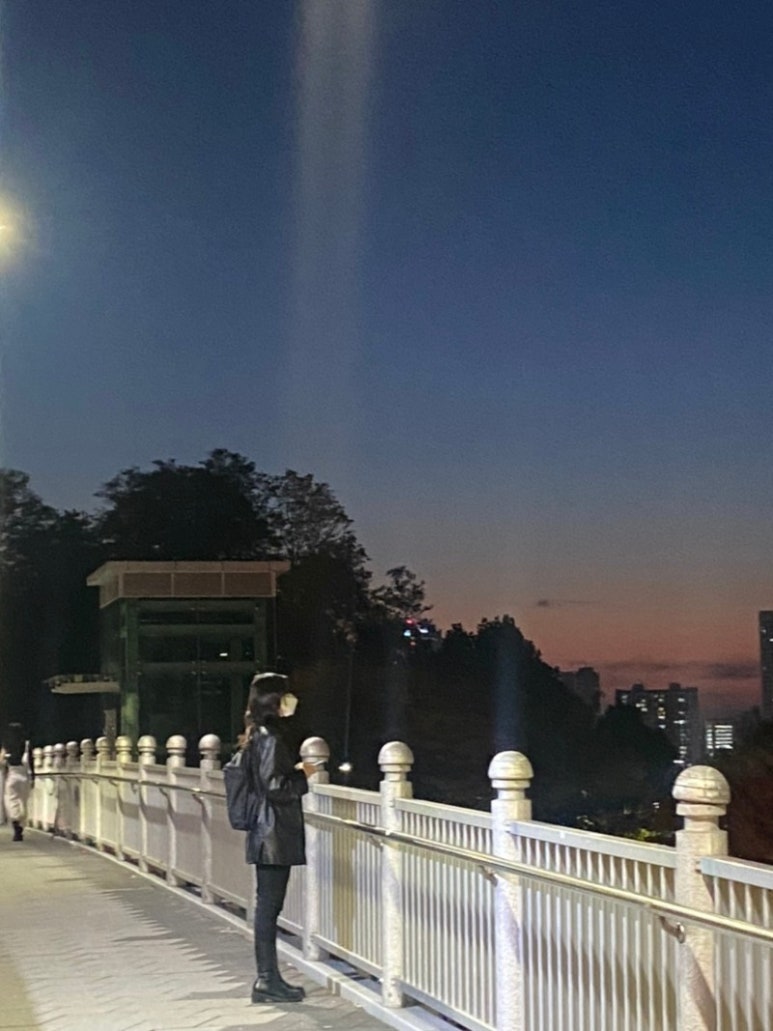 파도아이스크림 이미지