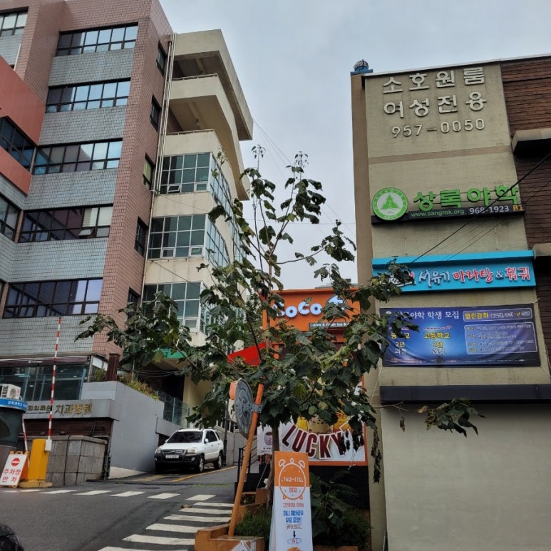 코코버블티경희대 이미지