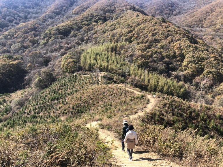 협동조합 강원피스투어 이미지