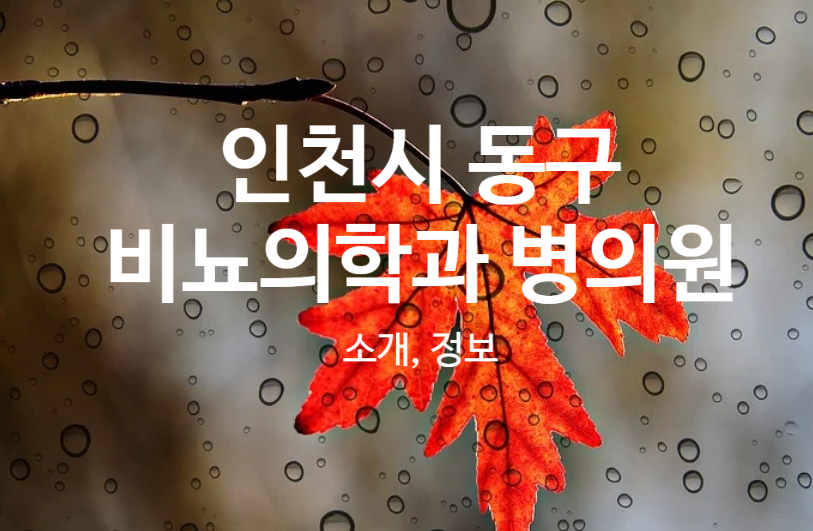 화수성심의원 이미지