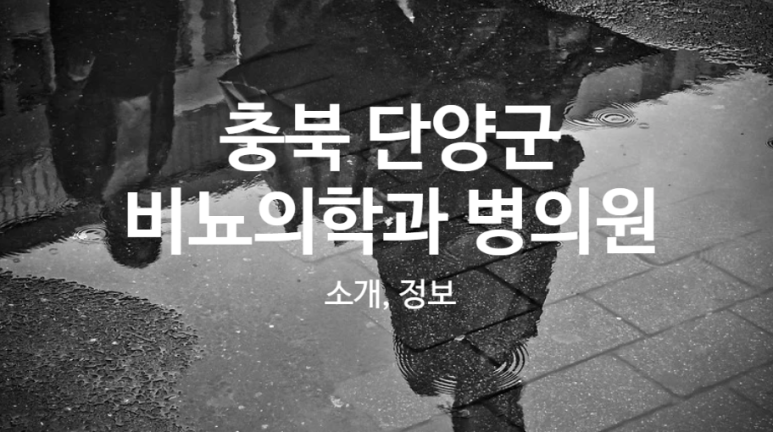 매포의원 이미지