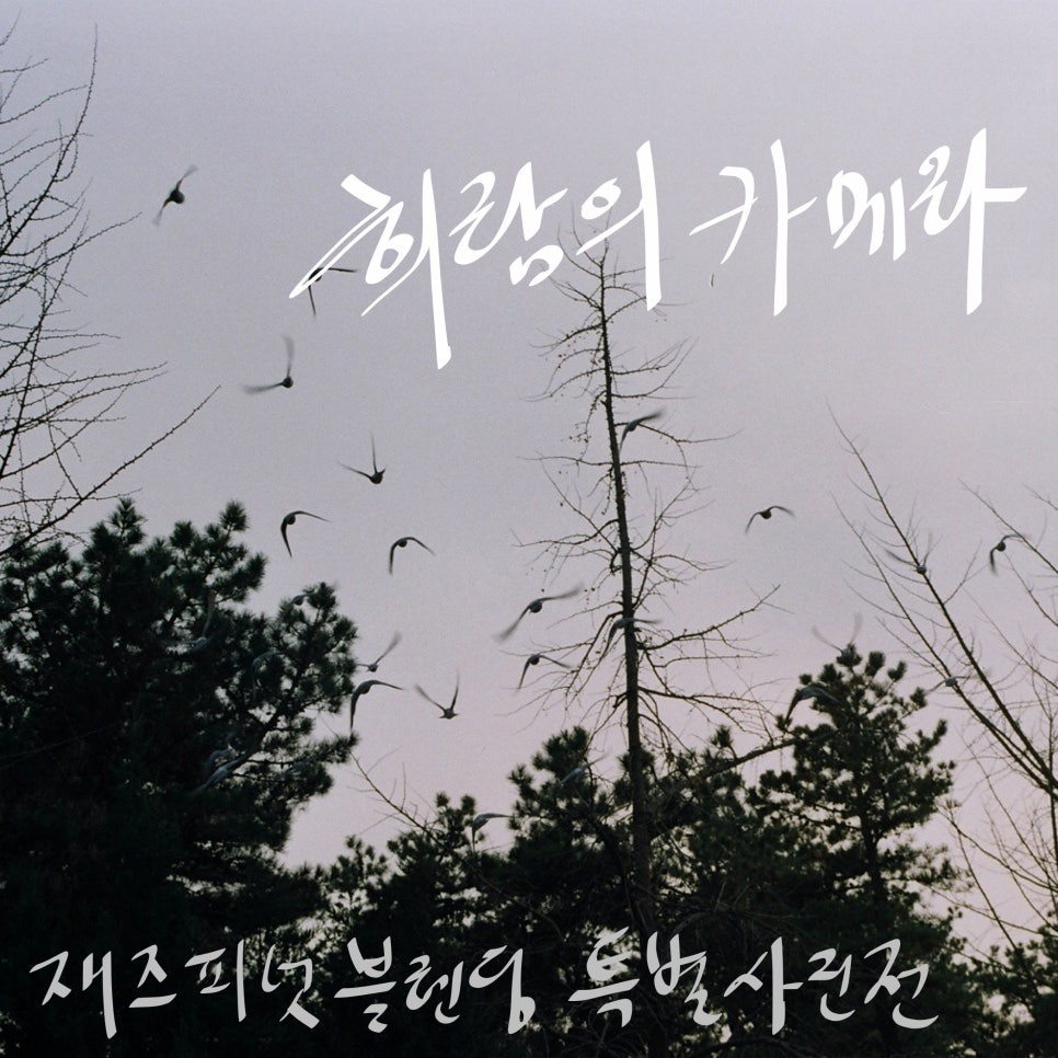재즈피넛 이미지