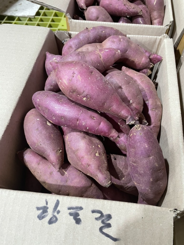 현주상회 이미지