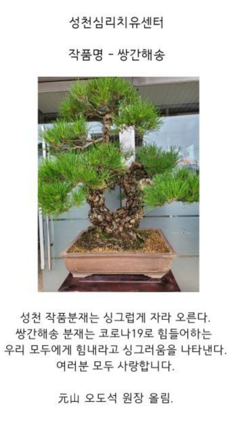 성천분재 이미지