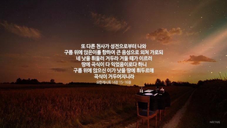 새창조 이미지