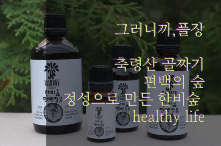 한비숲 이미지