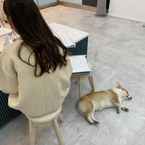 라젯트성인전문음악학원 이미지