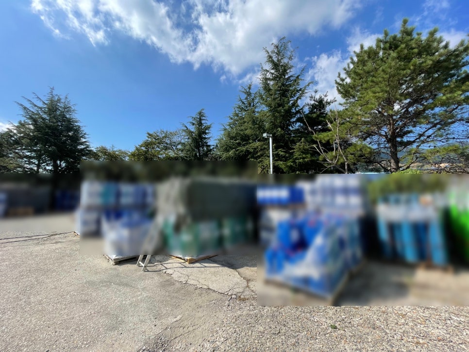 대성보세 이미지